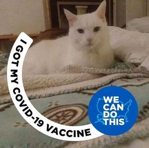 Meet your Posher, Valerie